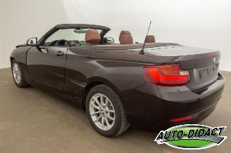 BMW 2-serie Cabrio 218i Navi Leder Airco picture 3