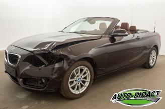 Vaurioauto  passenger cars BMW 2-serie Cabrio 218i Navi Leder Airco 2015/7