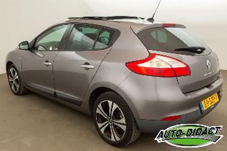 Renault Mégane 1.4 TCe Open Pano Clima Bose picture 3