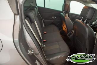 Renault Mégane 1.4 TCe Open Pano Clima Bose picture 25