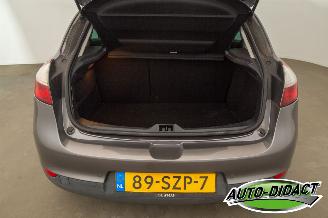 Renault Mégane 1.4 TCe Open Pano Clima Bose picture 36