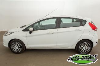 Ford Fiesta 1.25 Airco Limited picture 35