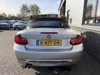 BMW 2-serie 230i Executive Cabrio picture 12