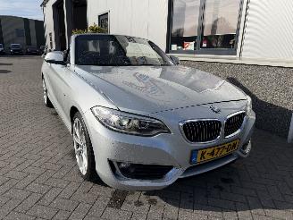 BMW 2-serie 230i Executive Cabrio picture 2