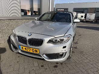 BMW 2-serie 230i Executive Cabrio picture 6