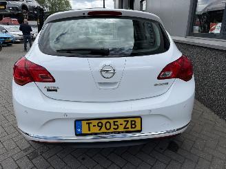 Opel Astra 1.4 Anniversary Edition picture 19