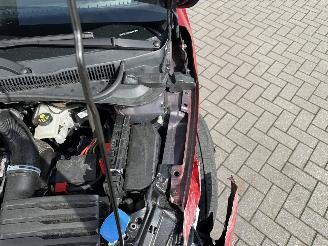 Volkswagen Polo 2.0 TSI GTI picture 30