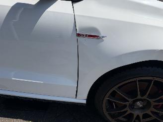 Volkswagen Polo 1.8 TSI GTI picture 17
