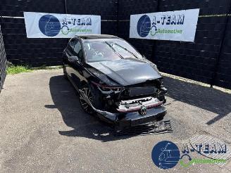 Volkswagen Golf Golf VIII (CD1), Hatchback, 2019 2.0 GTI 16V picture 1