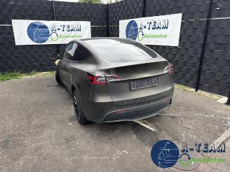 Tesla Model Y Model Y (5YJY), SUV, 2019 / 2025 Long Range,Performance picture 1