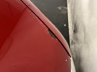 Volkswagen Caddy Caddy III (2KA,2KH,2CA,2CH) Van 1.6 (BSE) [75kW]  (04-2004/05-2015) picture 9