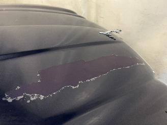 Jaguar XJ XJ8 (X308) Sedan 3.2 V8 32V Executive,Sport (AC) [174kW]  (07-1997/05-=
2003) picture 8