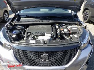 Peugeot 2008 1.2 PureTech Active 101pk picture 16