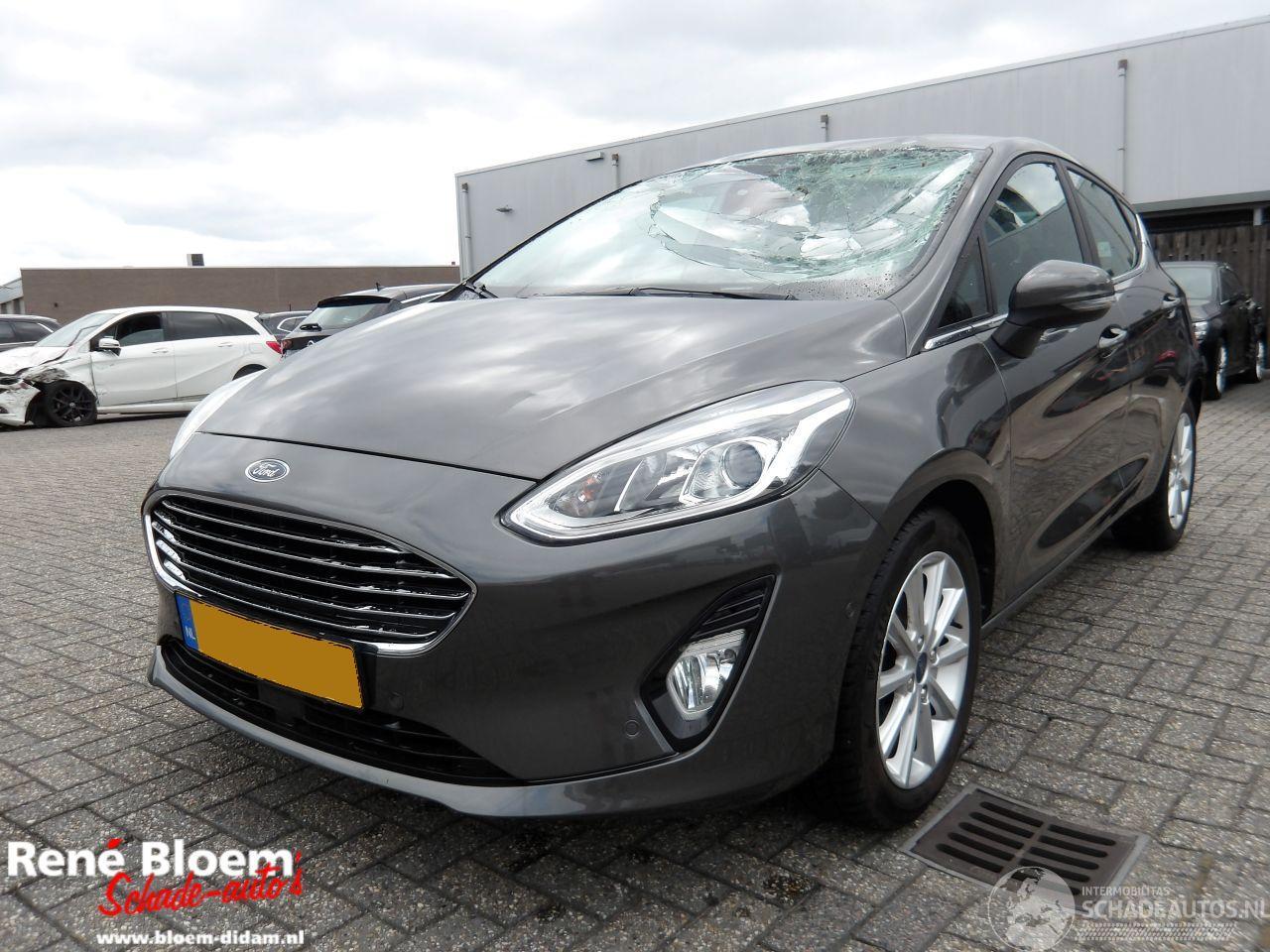 Ford Fiesta 1.0 EcoBoost Titanium 5-drs