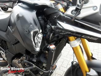 Suzuki  DL 1050 DE V-Strom picture 11