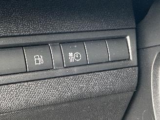 Peugeot 3008 1.6 HYbrid 225pk aut + f1 Allure Pack Bus - nap - nav - camera - keyless entry + start  - line + side assist picture 40