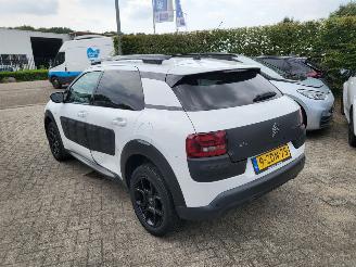 Citroën C4 cactus C4 Cactus 1.2 VTi Shine rijdbaar picture 4