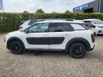 Citroën C4 cactus C4 Cactus 1.2 VTi Shine rijdbaar picture 13