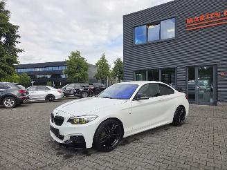 krockskadad bil auto BMW 2-serie 218i COUPE /  M- PERFORMANCE 2019/10