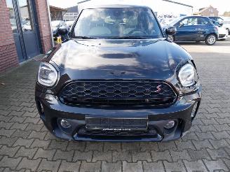 Mini Countryman COOPER COUNTRYMAN S ALL 4 NORTHWOOD PANORAMADAK LEER LED picture 3