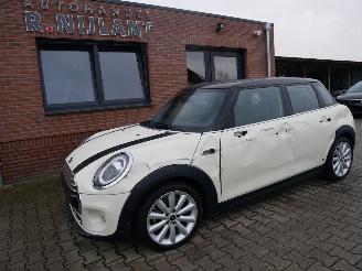 krockskadad bil auto Mini Cooper CHILI LEER PANORAMADAK 2018/7