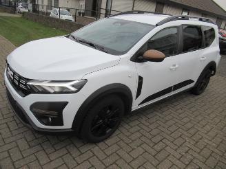Dacia Jogger TCe  Extreme Edition 54.200km  Climat Navi Camera Keyless-Go picture 11