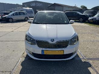 Skoda Fabia 1.4 TDI Ambition picture 11
