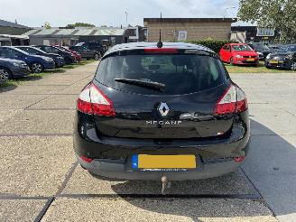 Renault Mégane 1.6 Parisienne picture 15