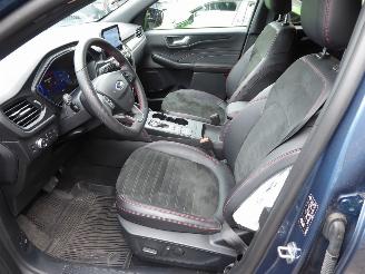 Ford Kuga ST Line X plug-in Hybrid picture 9