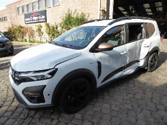 krockskadad bil auto Dacia Jogger Extreme 2024/6