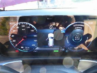 Mercedes EQB 250 picture 28