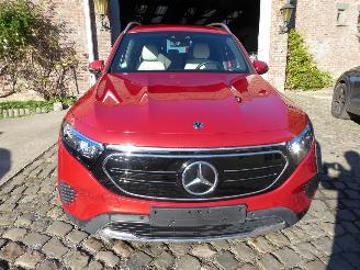 Mercedes EQB 250 picture 2