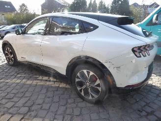 Ford Mustang Mach-e Mach-E Premium picture 11