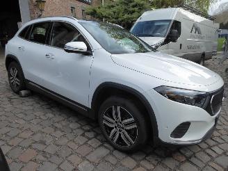 Mercedes EQA 250+ Luxury Line picture 3