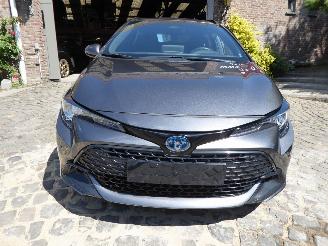 Toyota Corolla Touring Sports Lounge picture 3