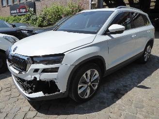 Skoda Karoq Style picture 1