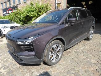 Vaurioauto  passenger cars Aiways U5 Premium 2021/3