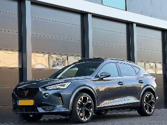 Cupra Formentor 2.0 TSI 4DRIVE 310 PK Pano Leer picture 7