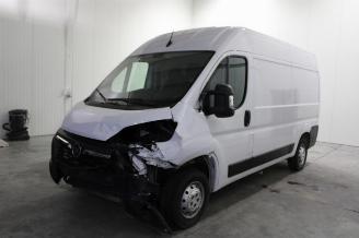 Unfallwagen Opel Movano  2022/12