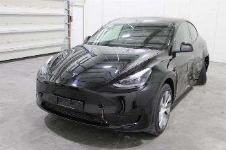 Auto incidentate Tesla Model Y  2024/12