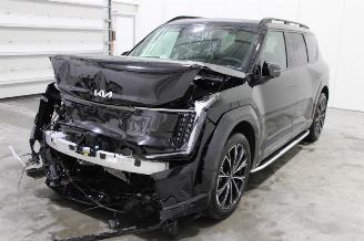 Damaged car Kia EV9  2025/5