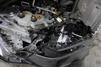 Renault Austral  picture 21