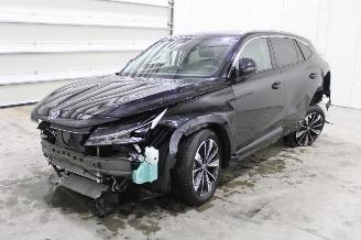 Avarii autoturisme MG EHS  2025/9