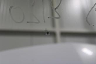 Mercedes Citan  picture 7