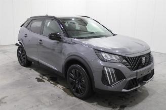 Peugeot 2008  picture 2
