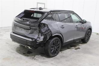 Peugeot 2008  picture 3