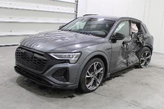 Schadeauto Audi Q8 e-tron 2024/1
