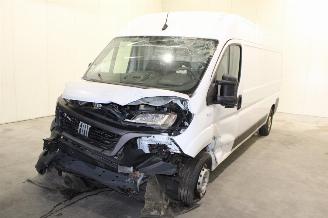 Unfallwagen Fiat Ducato  2024/2