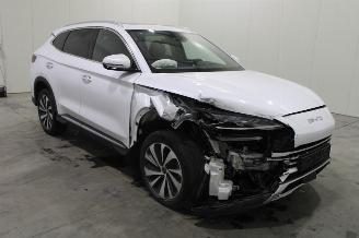 BYD Seal U  picture 2