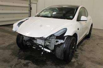 Unfallwagen Tesla Model Y  2025/2
